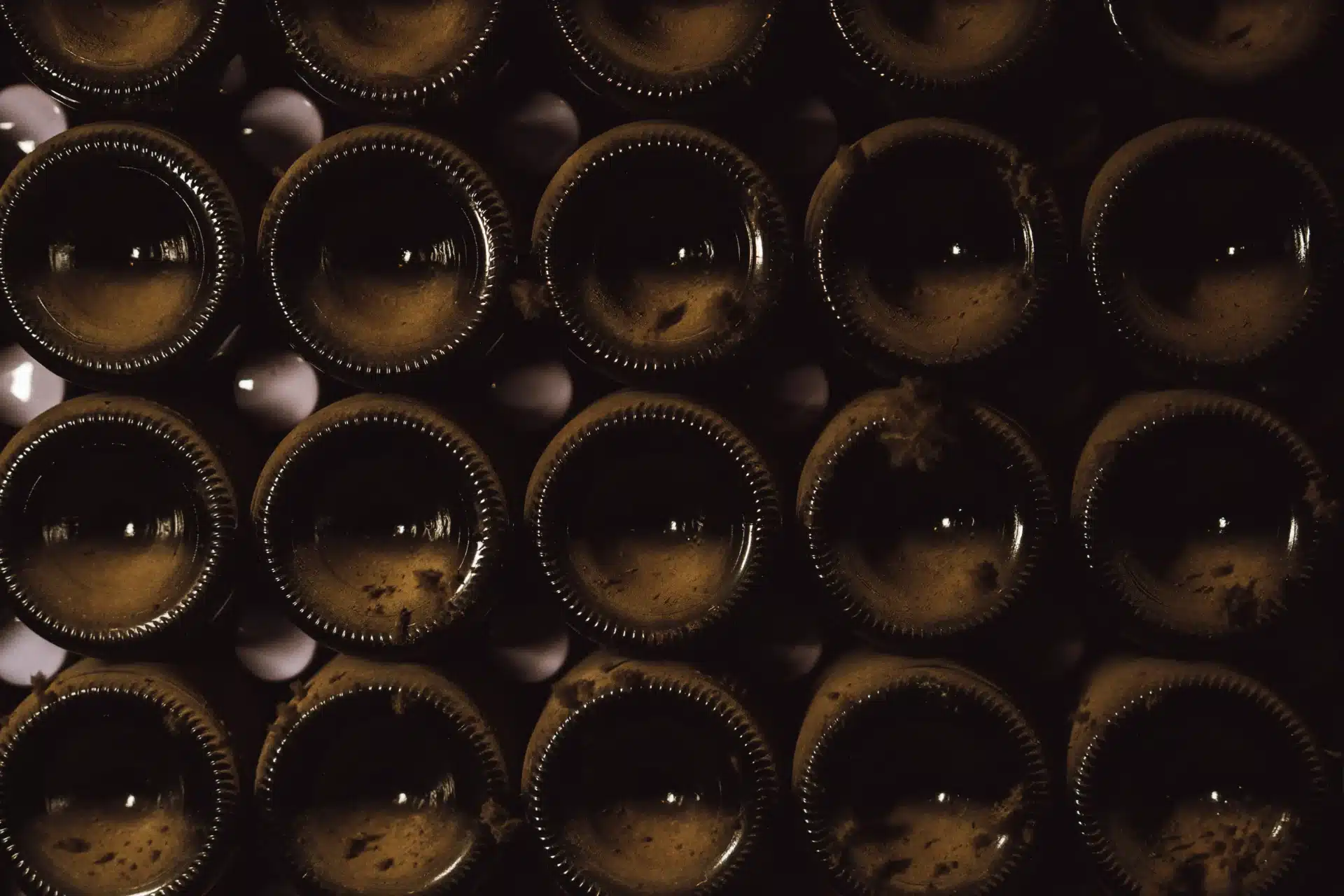Maison Langlois bouteilles dans la cave