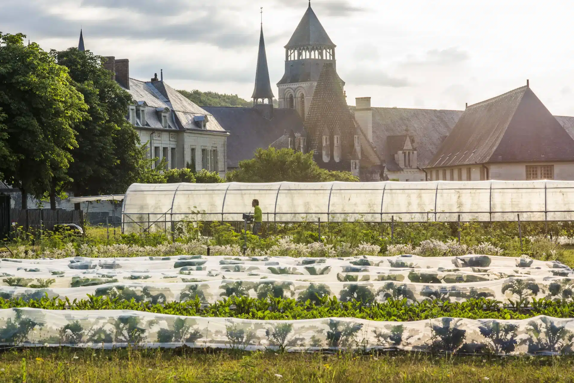 Potager Abbaye royale de Fontevraud