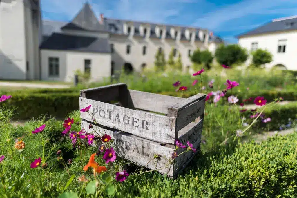 Fleurs et potager de Fontevraud L'Ermitage