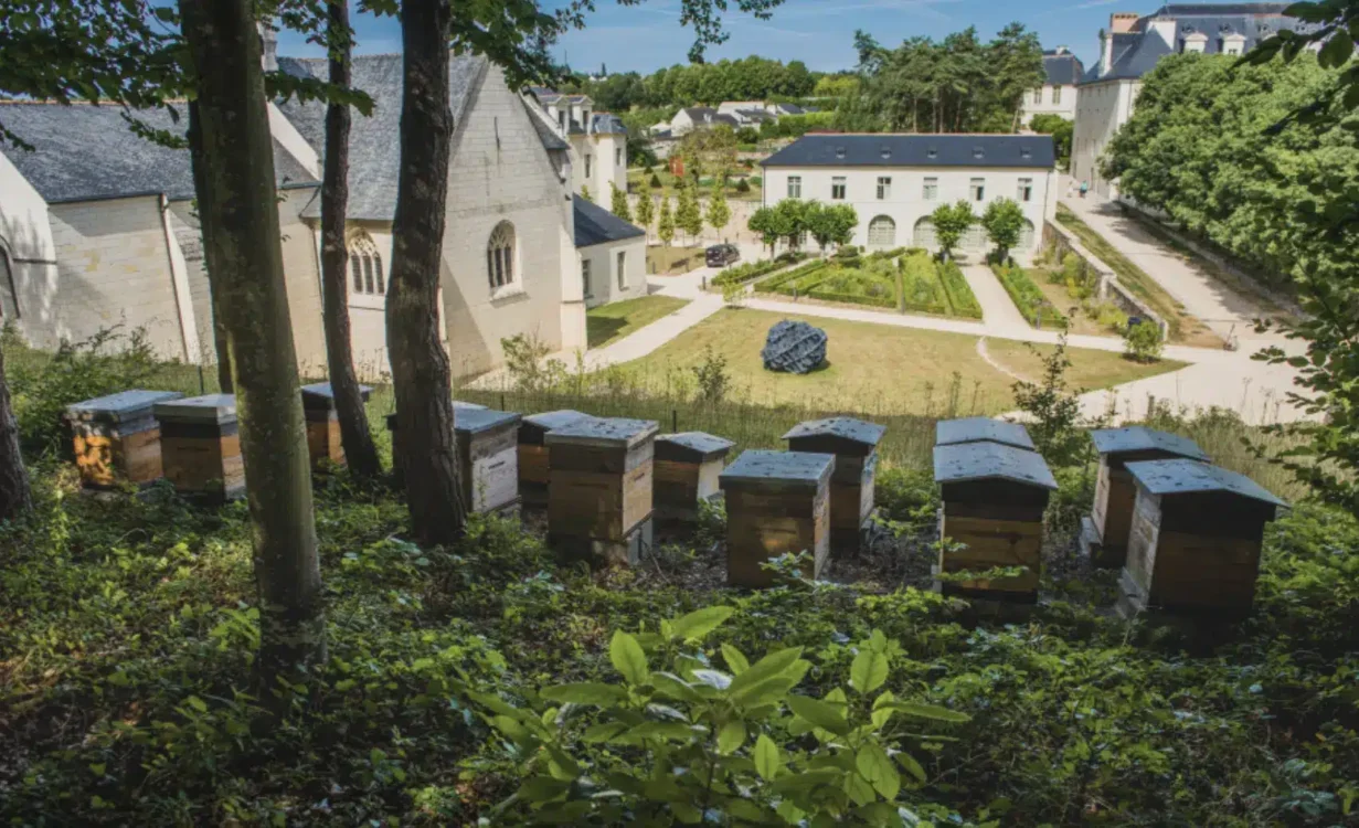 Ruche sur la colline de Fontevraud