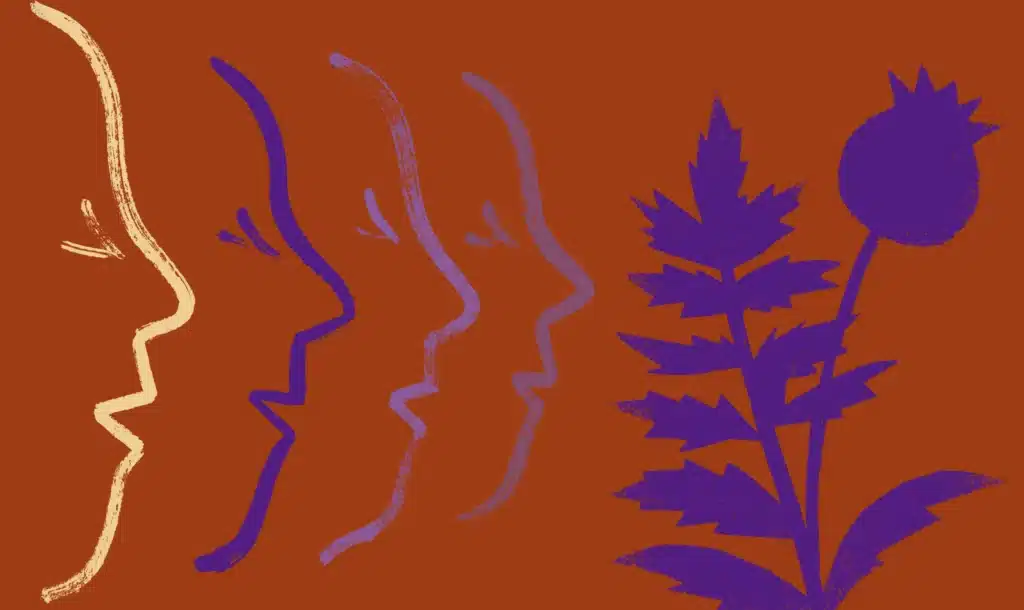 Illustration concert les Arts Florissants Fontevraud 2025