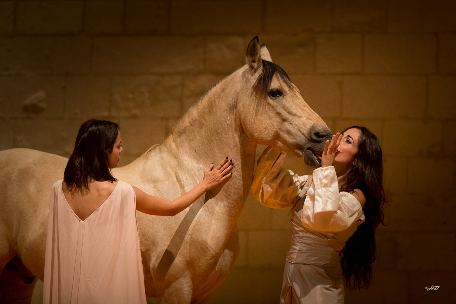 Spectacle cheval par l'Art est cabré