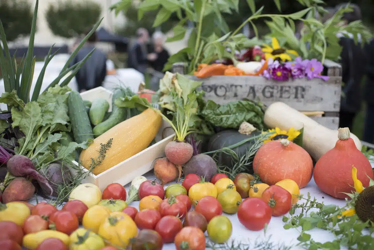 Légumes du potager de Fontevraud