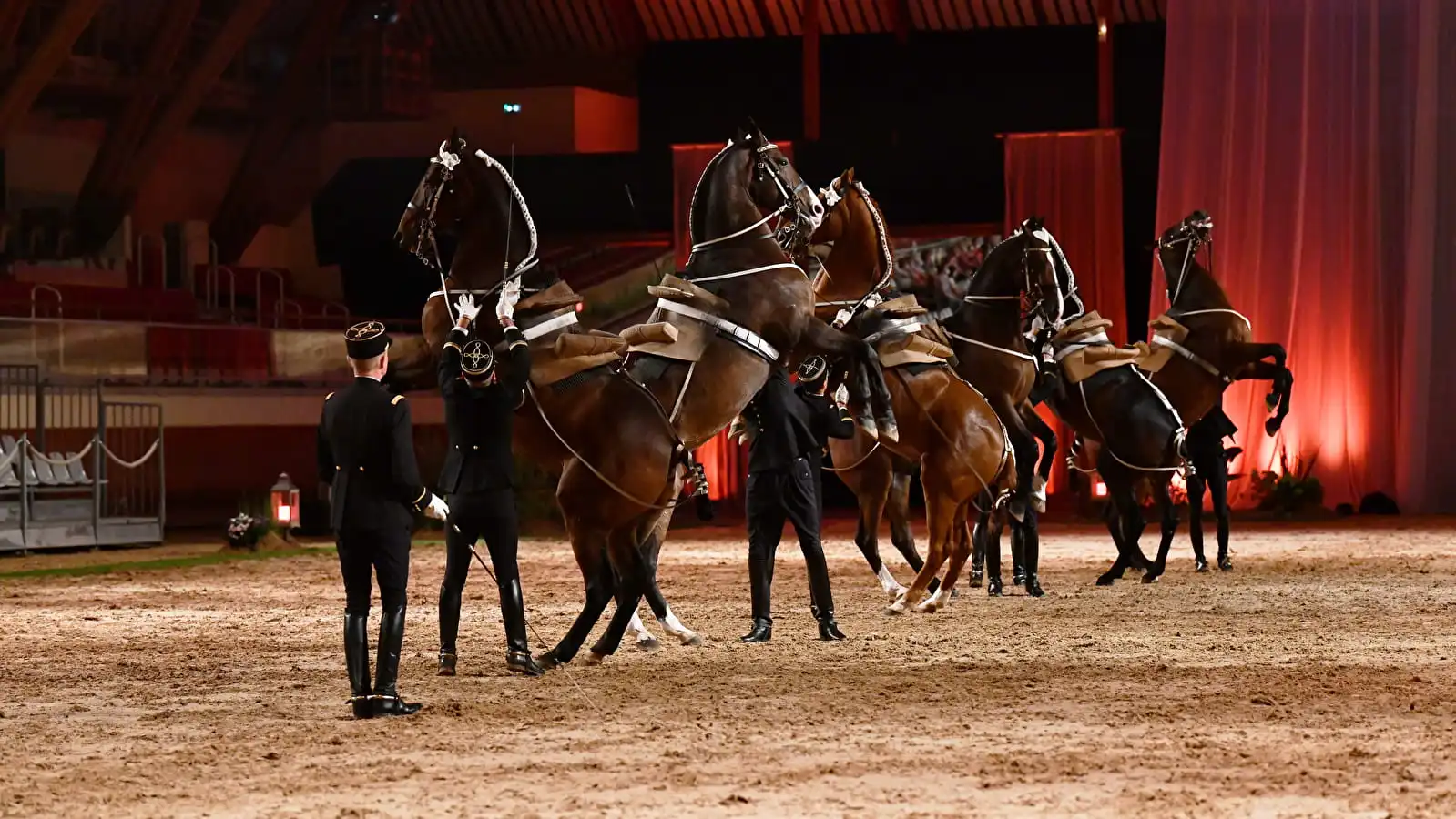 Spectacle Cadre Noir Saumur