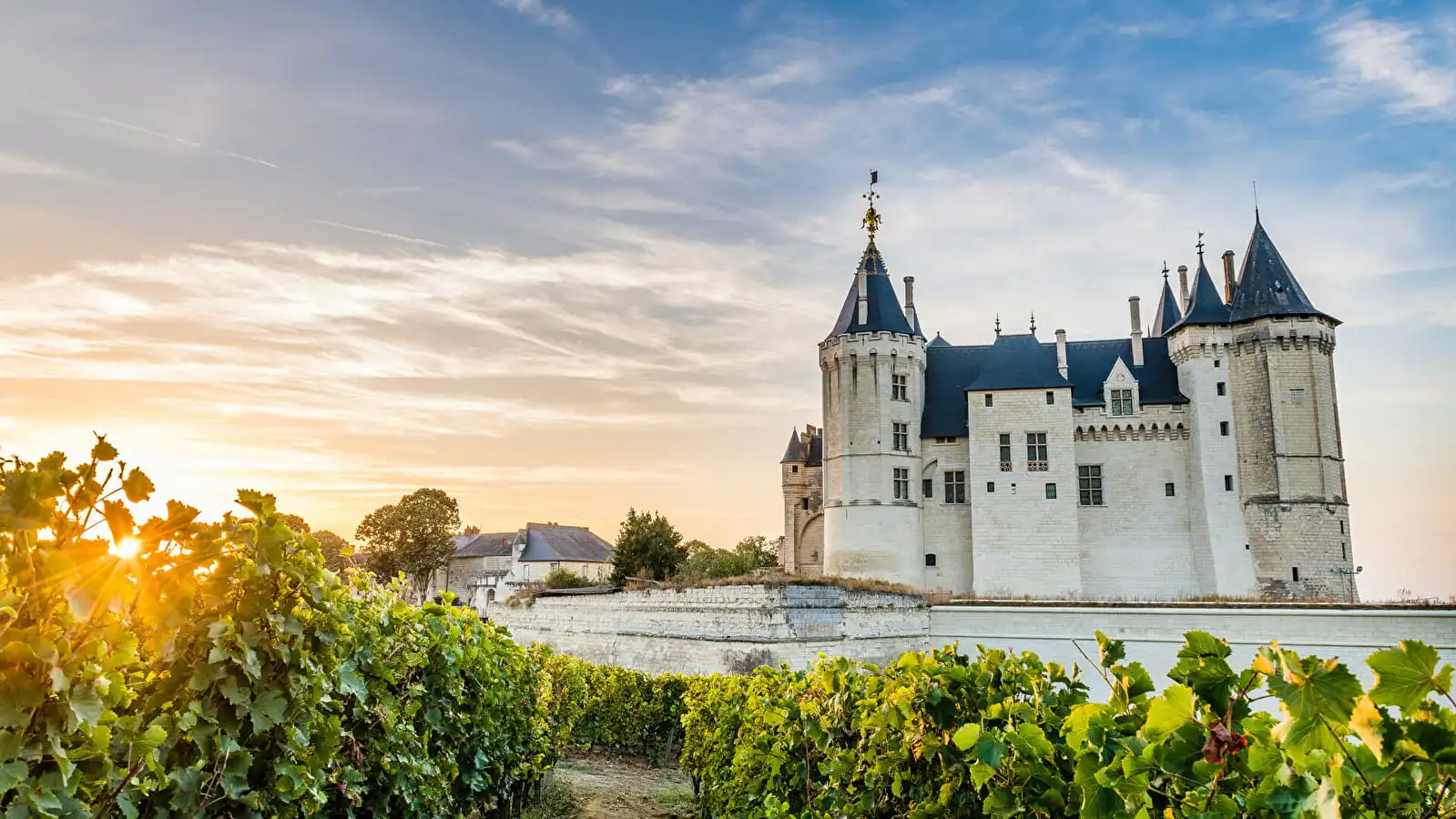 Château de Saumur de jour
