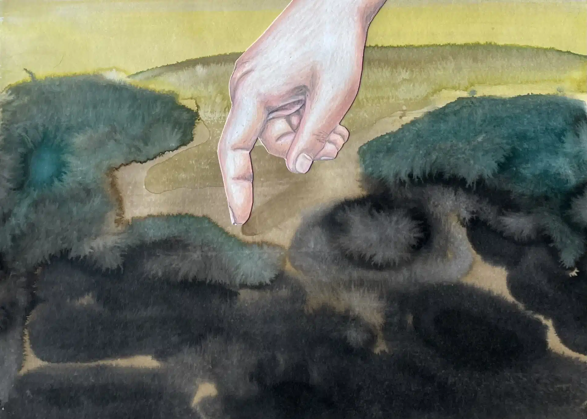 Exposition « Robuste comme le rouvre » de Maëlle Ledauphin